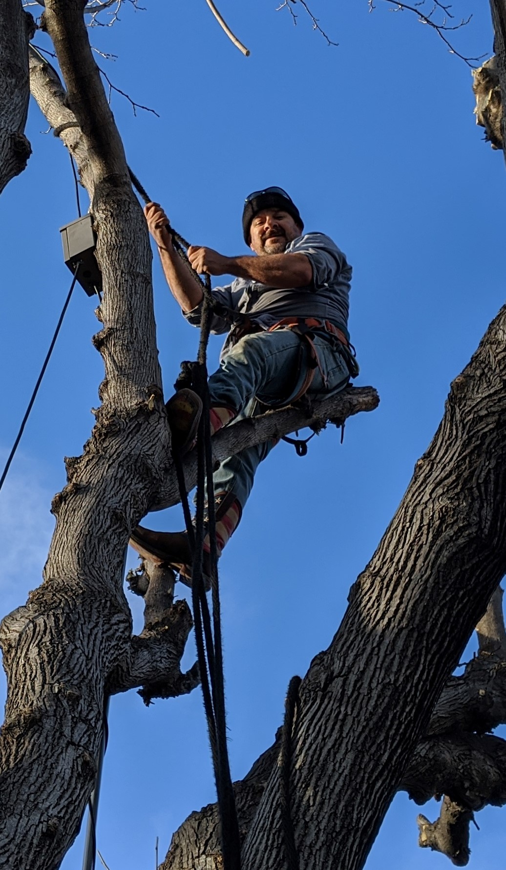 Nicolas Solis — Owner, Angel's Lawncare